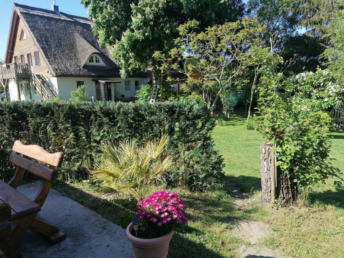 Ferienwohnung Am Haffberg Neverow ภายนอก รูปภาพ