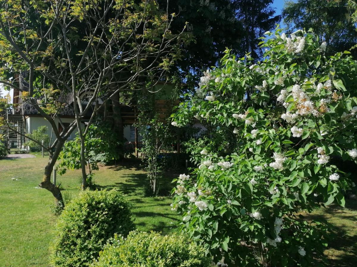 Ferienwohnung Am Haffberg Neverow ภายนอก รูปภาพ